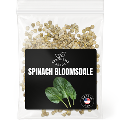 Spinach Bloomsdale Seeds 500+ Seeds – Non-GMO Heirloom Leafy Greens