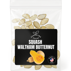 Butternut Squash Seeds 50+ Seeds – Non-GMO Winter Squash Variety